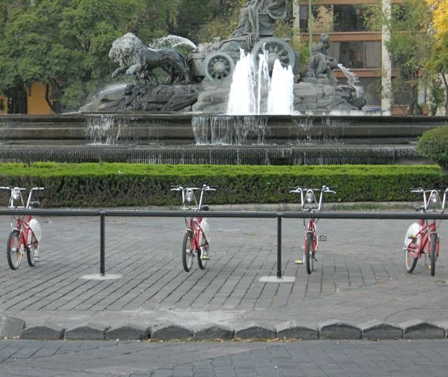 eco biccis