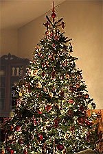 Jane's Christmas Tree